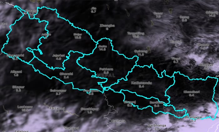 8c6cc88b-6cd0-476f-bcd7-4c877e7f9c2d